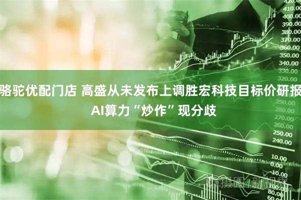 骆驼优配门店 高盛从未发布上调胜宏科技目标价研报  AI算力“炒作”现分歧