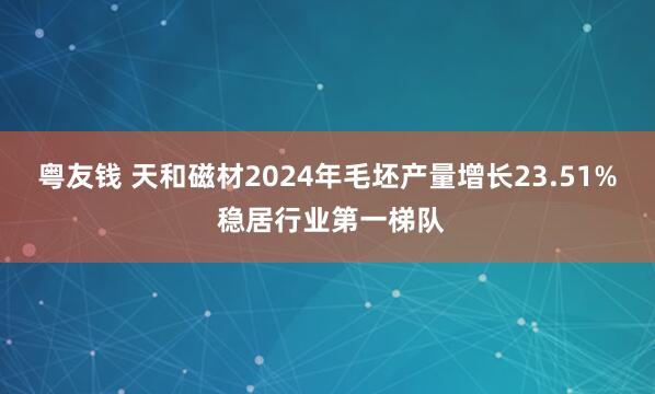 粤友钱 天和磁材2024年毛坯产量增长23.51% 稳居行业第一梯队
