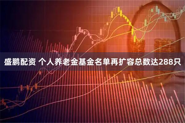 盛鹏配资 个人养老金基金名单再扩容总数达288只