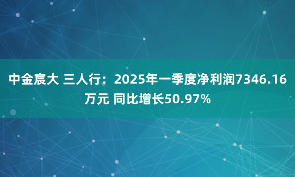 中金宸大 三人行：2025年一季度净利润7346.16万元 同比增长50.97%
