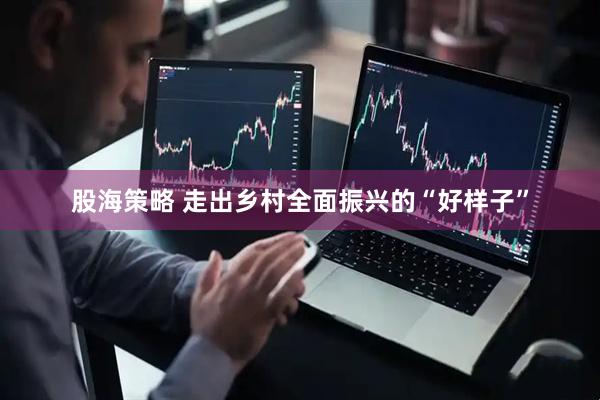 股海策略 走出乡村全面振兴的“好样子”