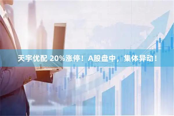天宇优配 20%涨停！A股盘中，集体异动！